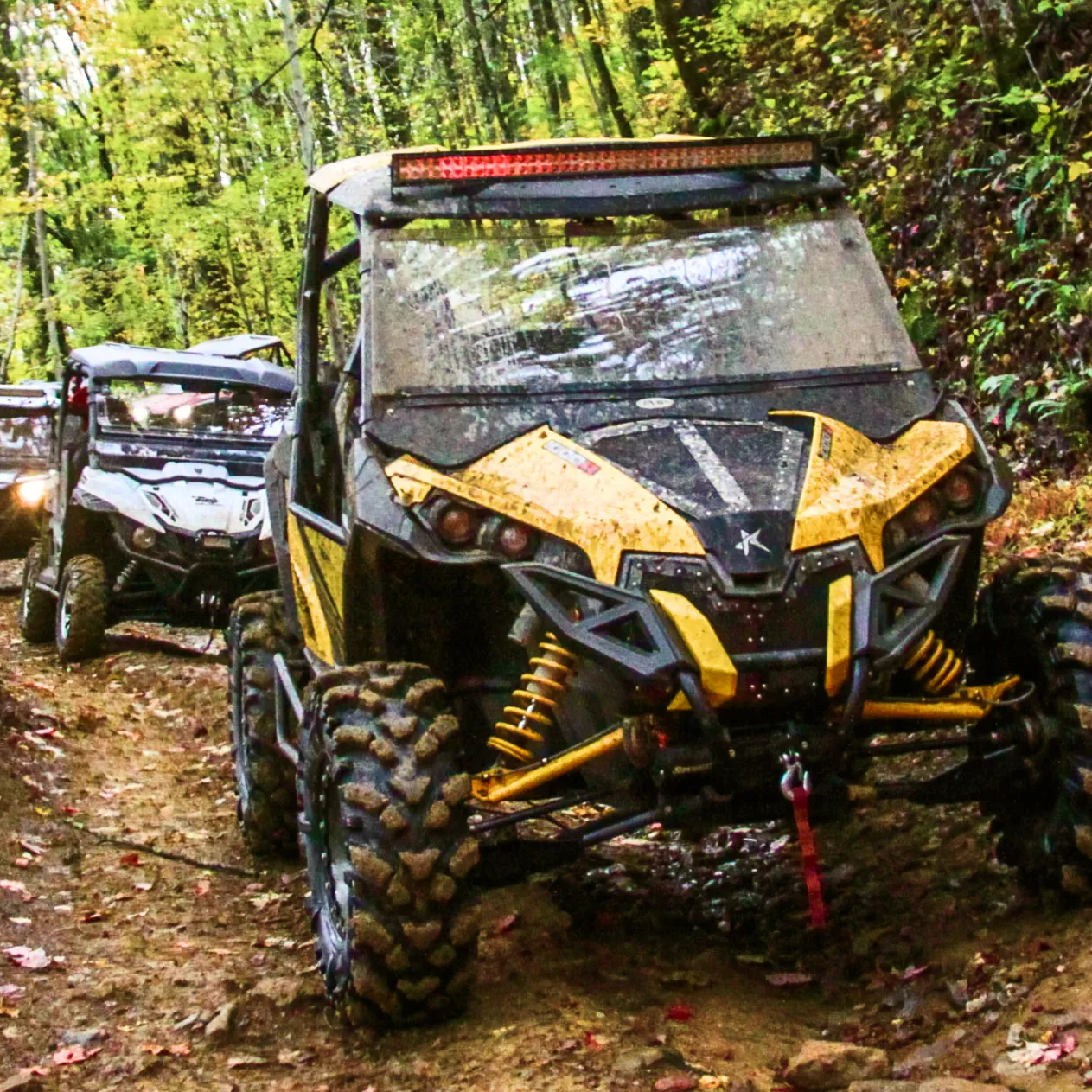 UTVs on a forest trail